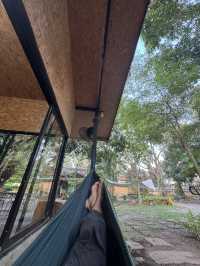 Slope Motion จ.เชียงใหม่ 🏡🍃☕️🐈