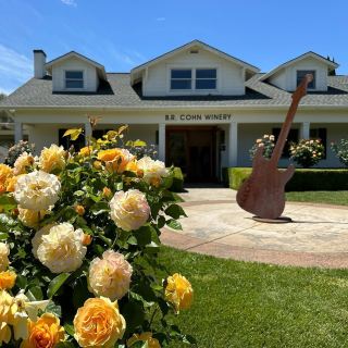Sip, swirl, and slow down—B.R. Cohn Winery, where every glass tells a story.