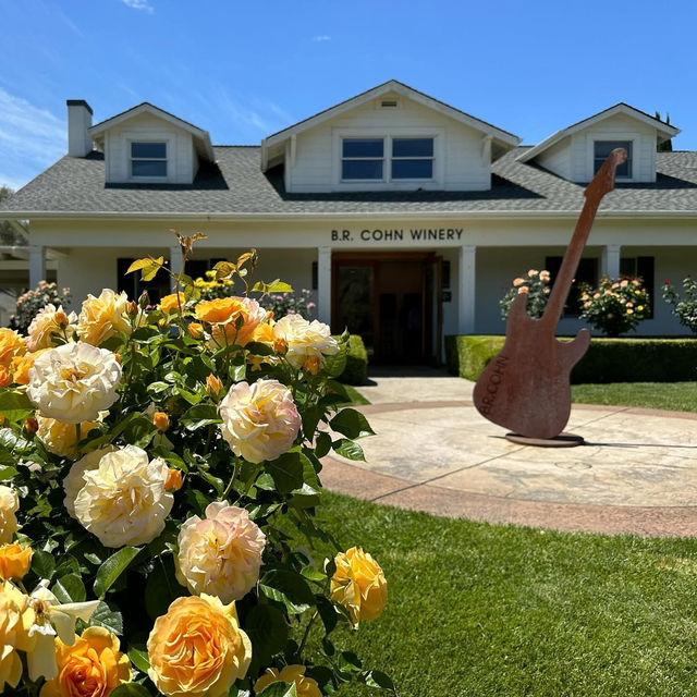 Sip, swirl, and slow down—B.R. Cohn Winery, where every glass tells a story.