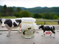 北海道🐄☕療癒系咖啡廳「Farm Designs TOMAMU」🍰🌿