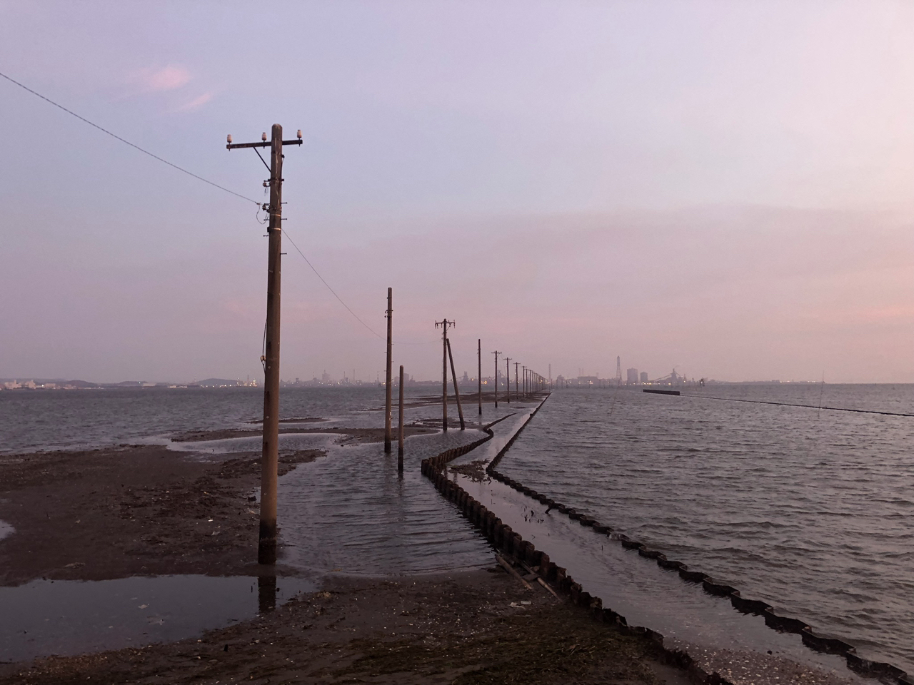 江川 海岸 潮干狩 場