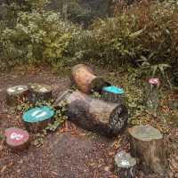 "Rokko Meets Art" งานศิลปะท่ามกลางธรรมชาติ🌿