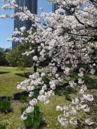 浜離宮庭園