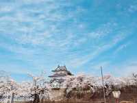 The Shibata Castle Ruins