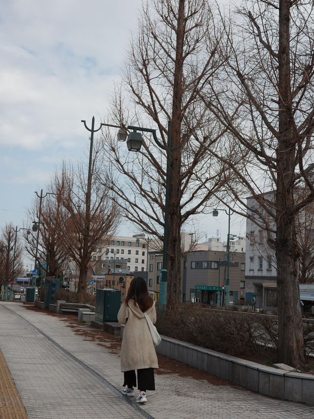 Sapporo, Japan – A City of Snow, Soul, and Surprises ❄️🍜🌸