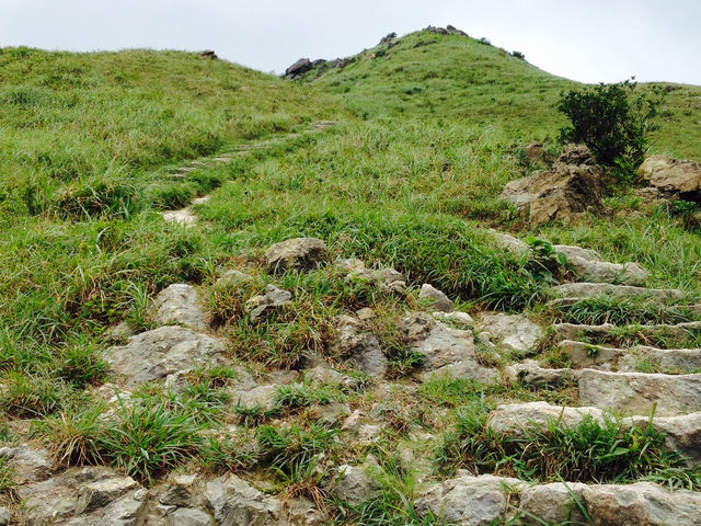 黃龍坑的挑戰之旅⛰️🌿