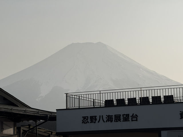 Still Waiting on Fuji: The Mountain Remains Shy