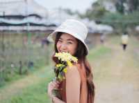 เที่ยวชมสวนดอกไม้กลางหุบเขา