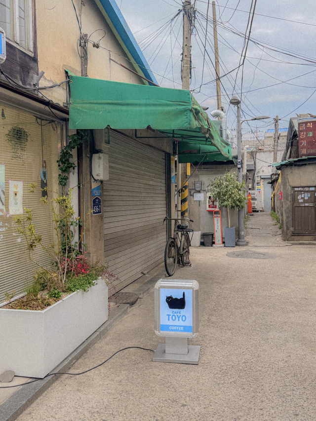 조용하고 작은 옛 골목에 숨겨진 고양이 세상, 문래 토요 