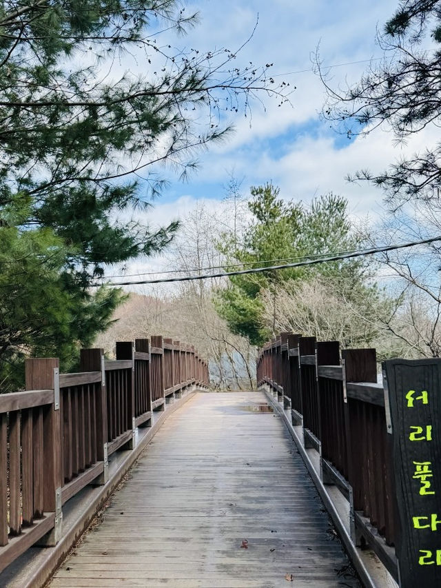 Seorae Village: A Slice of France in Seoul