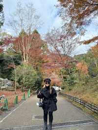 Kiyomizu-dera Temple kyoto 🇯🇵