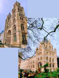 英國自然史博物館🏛人氣恐龍化石，大開眼界（Natural History Museum）