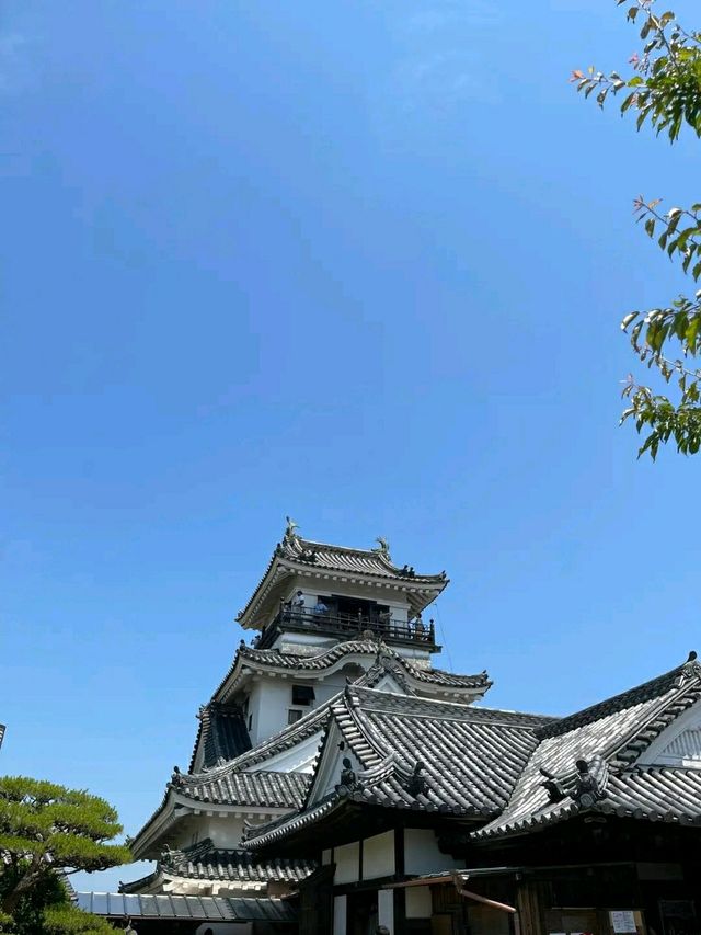 Kochi Castle – A Timeless Treasure of Shikoku