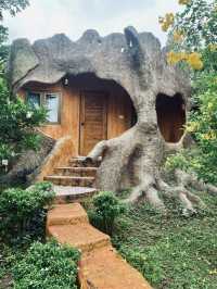บ้านต้นไม้สวนผึ้ง