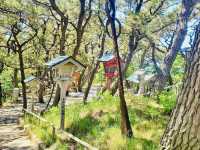 The Wonderful Gem in Aomori Pref.