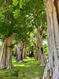 Changthong Heritage Park – Nature, Culture & Serenity Combined