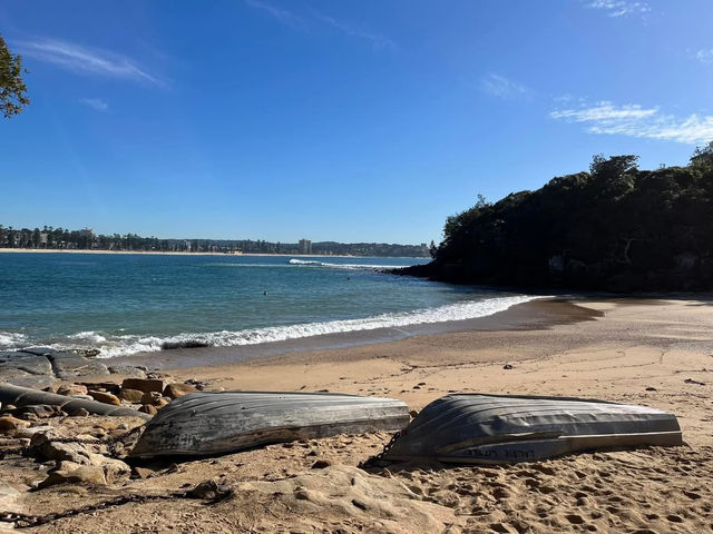 Manly to Shelly Beach – A Coastal Walk Worth Slowing Down For