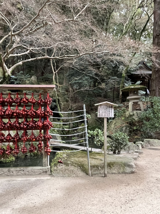 스타벅스가 유명한 다자이후 텐만구⛩️