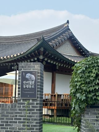 Siheung Daeya Cafe Recommendations!