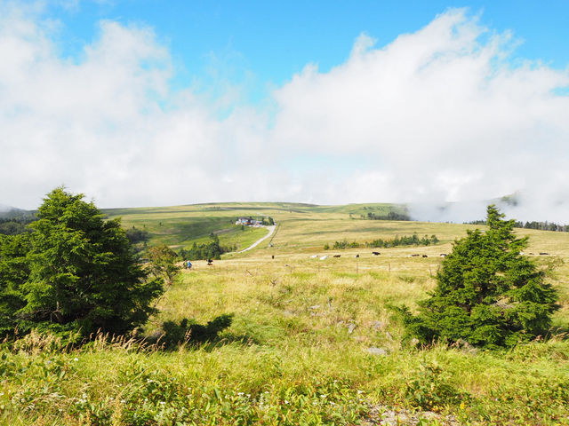 長野の知られざる絶景スポット　美ヶ原高原