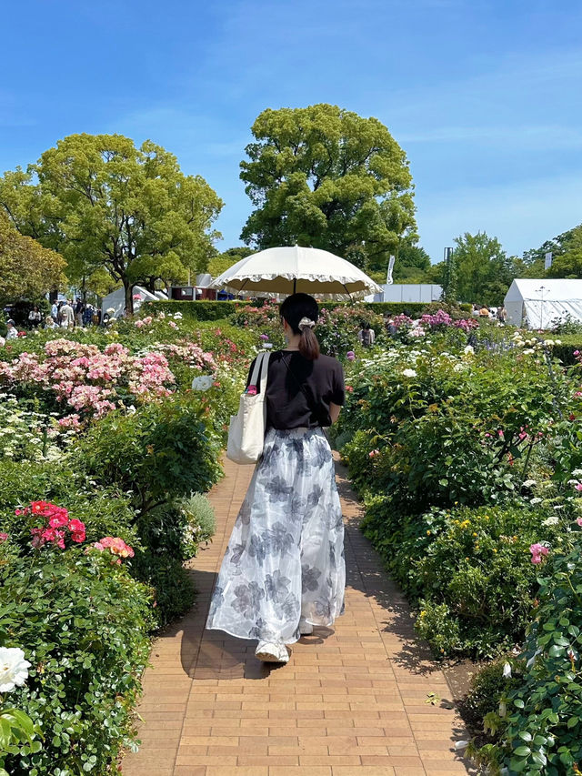 【横浜】今だけ!!ローズガーデンに遊びに行こう!!