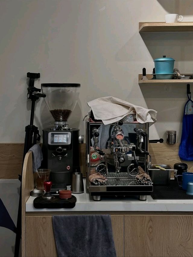 Lisse Brew
