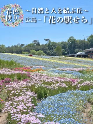 Spring Blooms and Gourmet Delights at Flower Station Sera