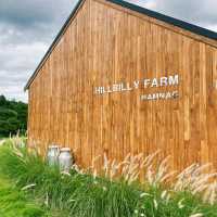 🌿HillbillyFarm @Namnao