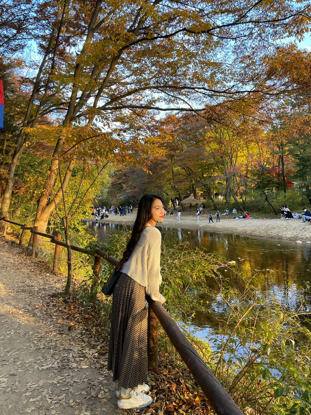 국내여행지 추천👍