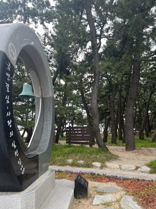 강원도 동해바다로 떠나요
