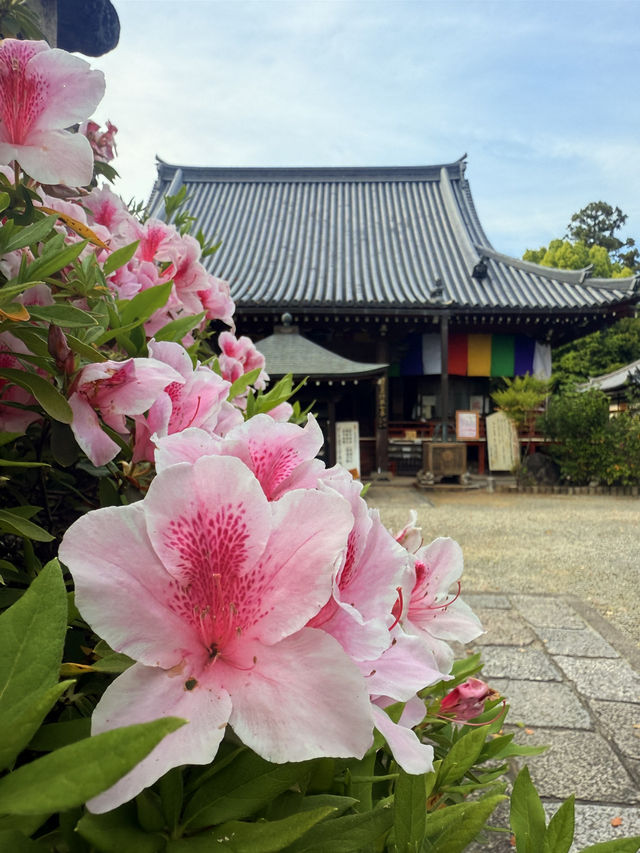 奈良｜久米仙人傳說在靈禪山久米寺 巡訪西國藥師靈場