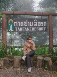 เล่น Zipline กลางน้ำตกที่สูงที่สุดในลาวใต้