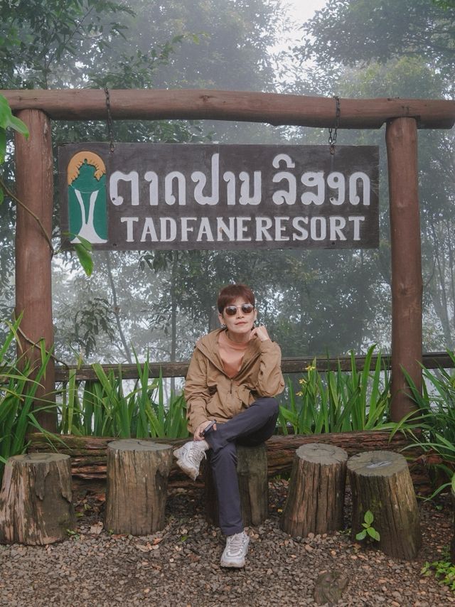 เล่น Zipline กลางน้ำตกที่สูงที่สุดในลาวใต้