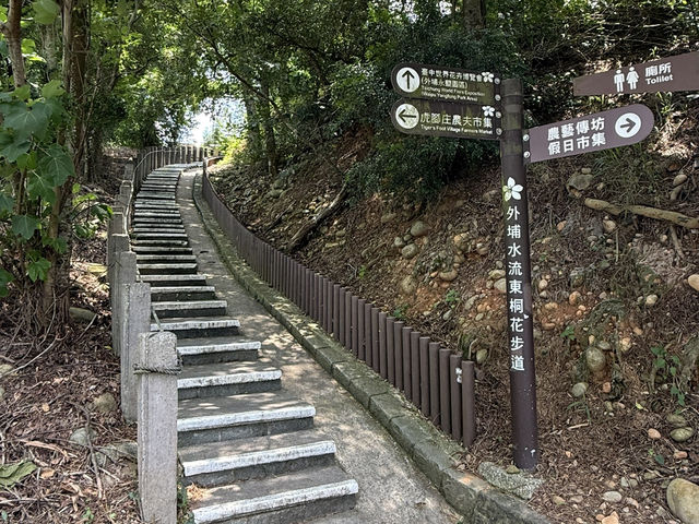 台中外埔｜高鐵觀景秘境～水流東桐花步道🌸