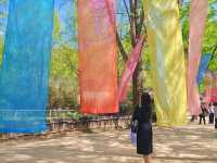Korean Folk Village ♡หมู่บ้านวัฒนธรรมเกาหลี~ยงอิน