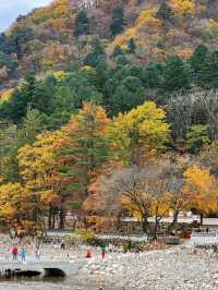 Zen Vibes and Mountain Vibes at Baekdamsa