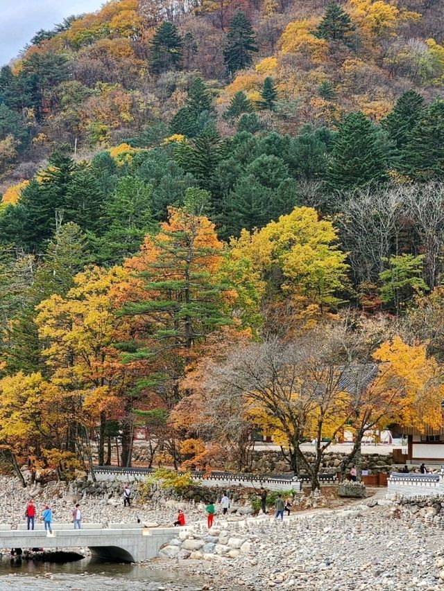 Zen Vibes and Mountain Vibes at Baekdamsa
