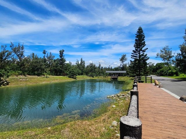 恍如仙境的台東森林公園琵琶湖