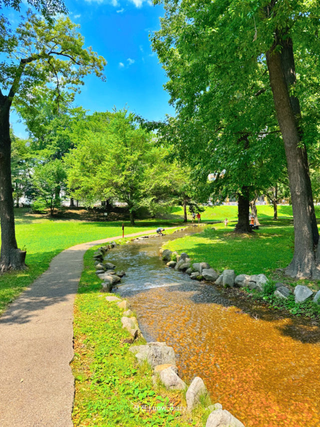  ☀️ 여름 삿포로, 왜 가야 할까요?