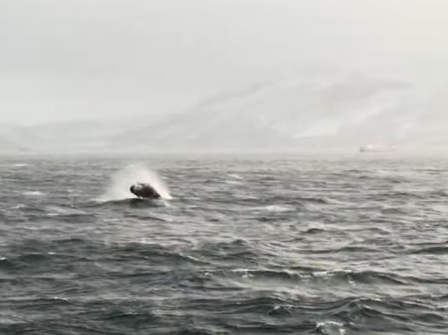 Chasing Magic in Tromsø: 4 Unforgettable Arctic Experiences