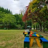 Daejeon Wanders