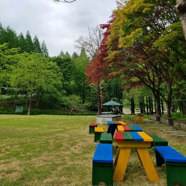 Daejeon Wanders