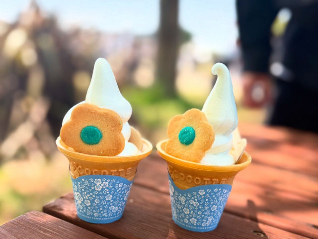 【茨城オススメスポット🌟】カラフルな世界に浸る1日レポ