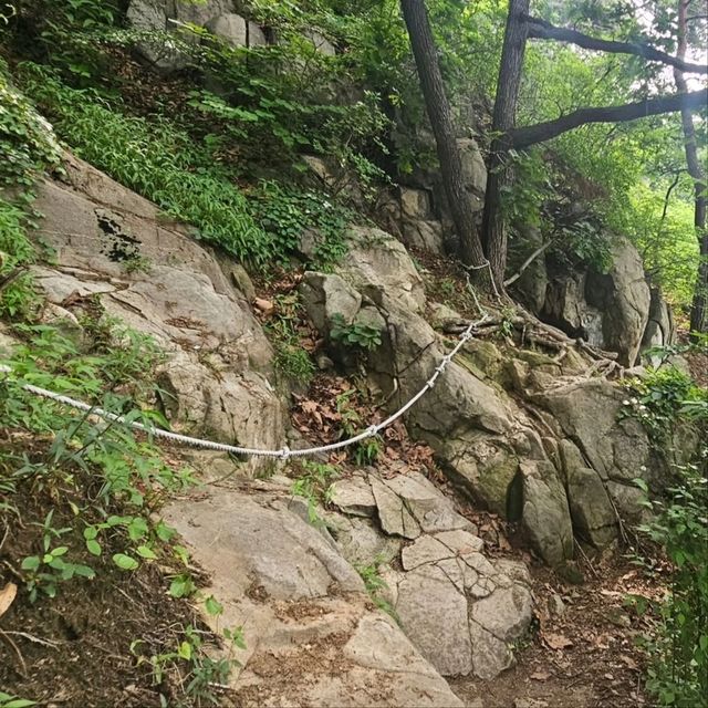 Sweaty, Scenic, and So Worth It