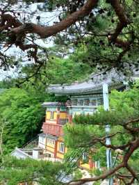 구름이 머무는 절, 고성 문수암의 고요한 매력