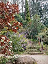 The Dandenong Ranges and the Yarra Valley - two popular destinations in Victoria