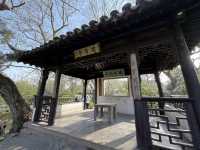 蘇州｜漫步「拙政園」