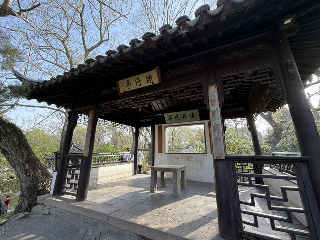 蘇州｜漫步「拙政園」
