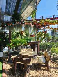 Chill Vibes and Caffeine: Desaru’s Affordable Plant Cafe Experience