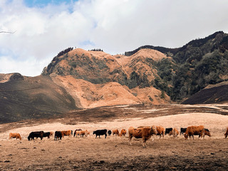 阿蘇山